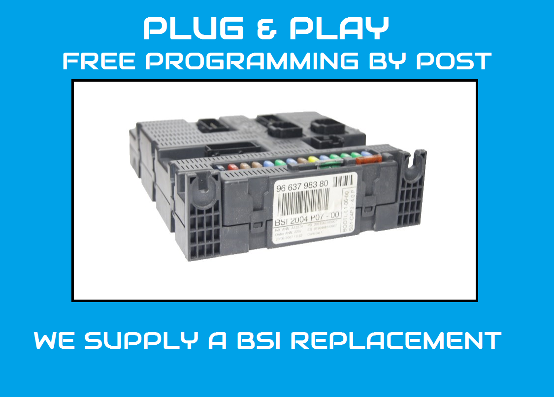 9663798380 FIAT SCUDO BSI  PLUG & PLAY PROGRAMMING BY POST