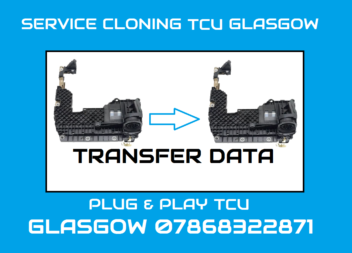 BMW- MINI  TCU DKG  SERVICE CLONING PLUG & PLAY