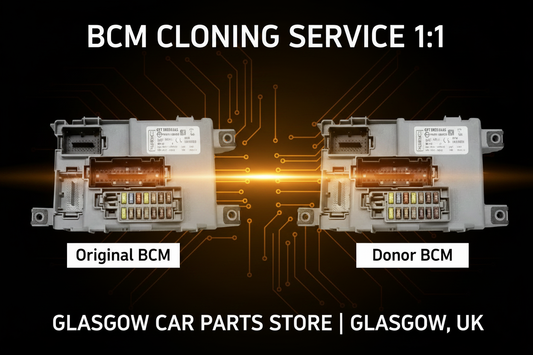 BCM Cloning Service – Amber